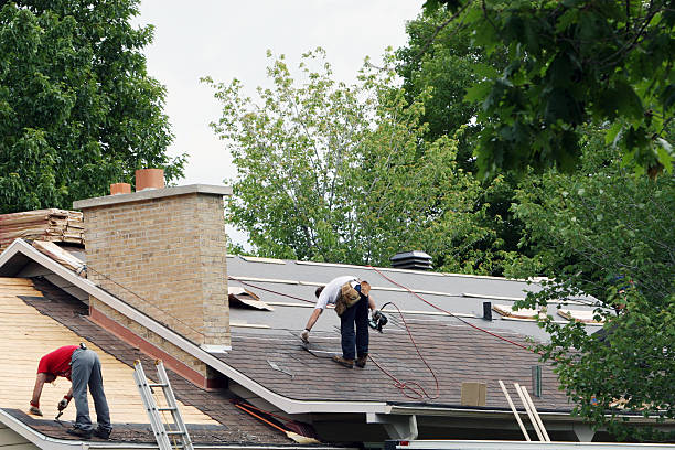 Best Roof Gutter Cleaning  in Toronto, OH