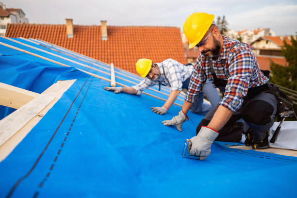 Best Storm Damage Roof Repair  in Toronto, OH